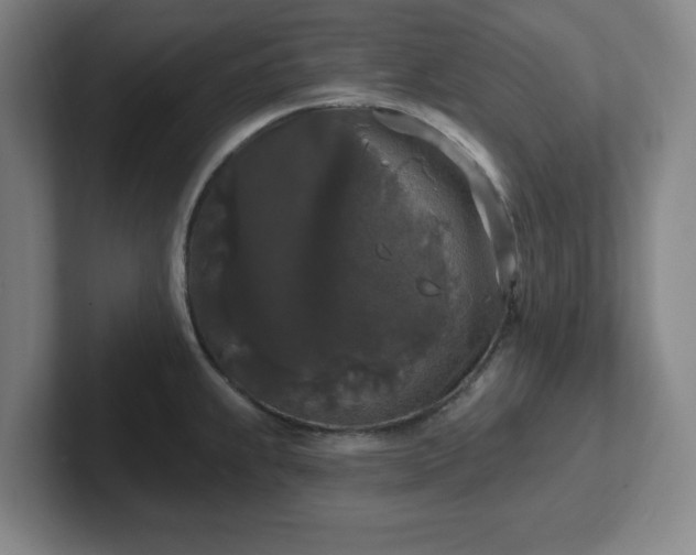 X0000102001239200807251239