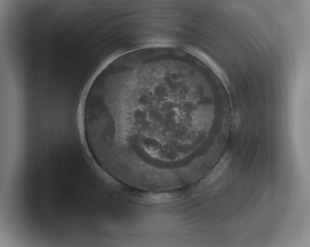 X0000102001243200807251240