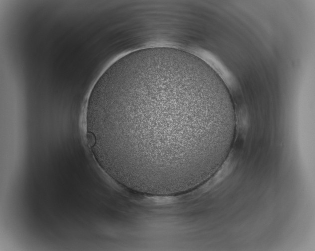 X0000102001244200807251240