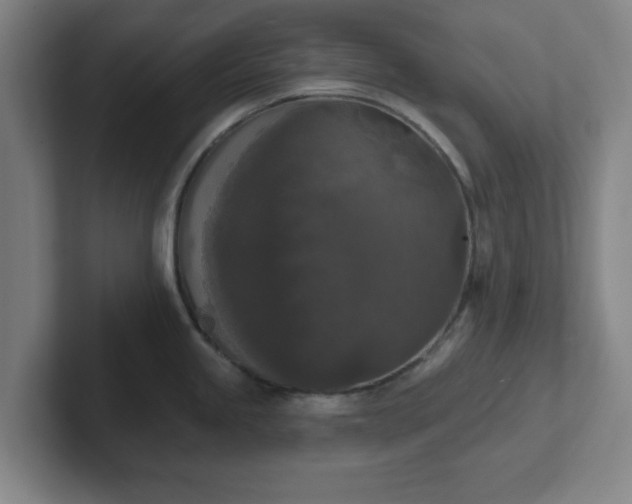 X0000102001245200807251240