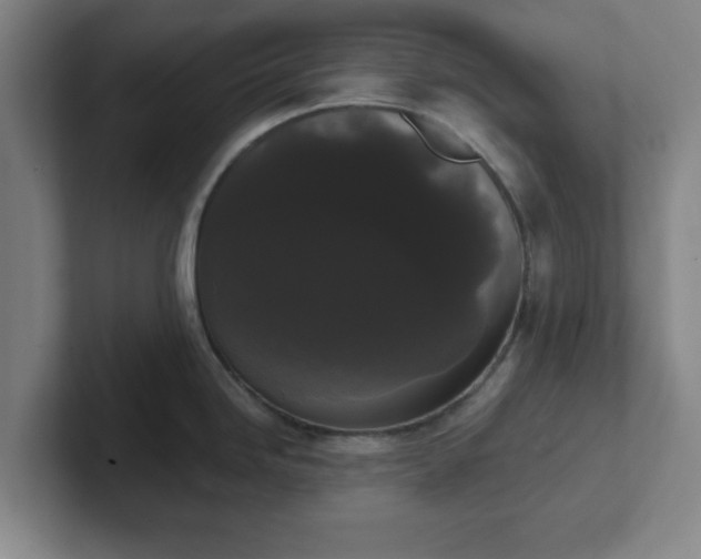 X0000102001246200807251240