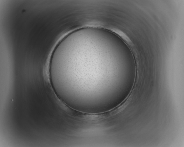 X0000102001248200807251240