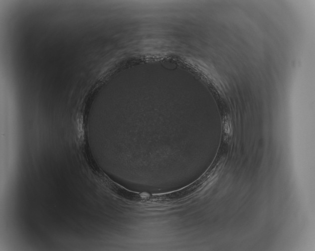 X0000102001252200807251239