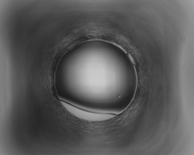 X0000102001253200807251239