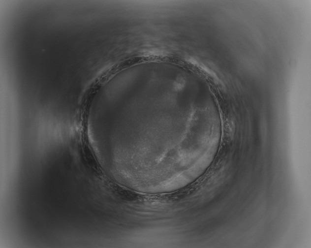 X0000102001254200807251239