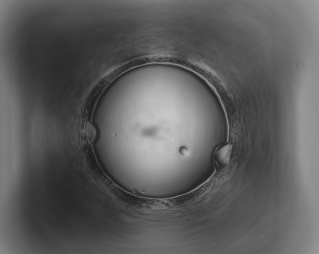 X0000102001255200807251239