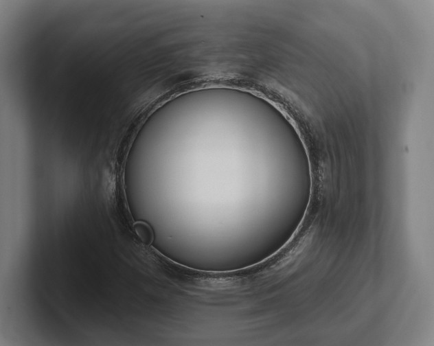 X0000102001257200807251239