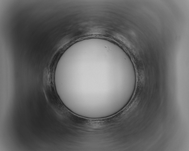 X0000102001258200807251239