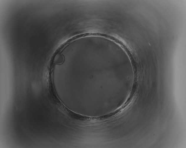 X0000102001263200807251239