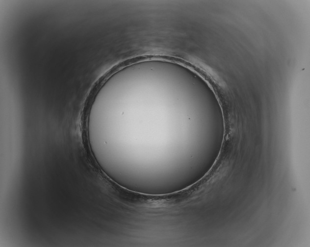 X0000102001264200807251239