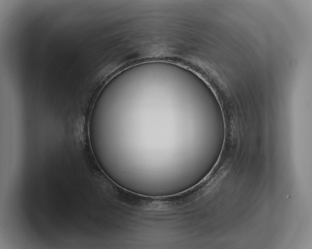 X0000102001265200807251239