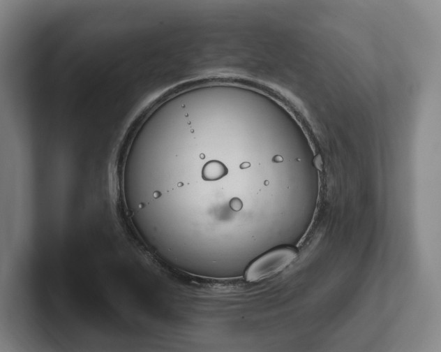 X0000102001271200807251239