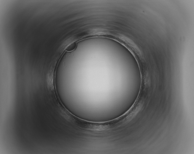 X0000102001273200807251239