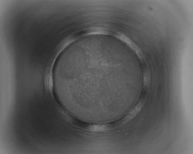 X0000102001274200807251239