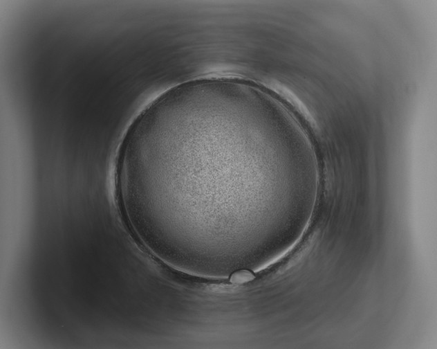 X0000102001277200807251239