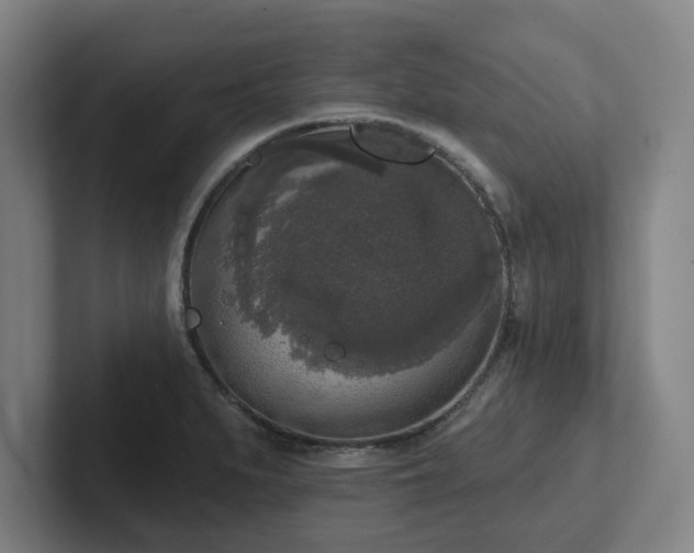 X0000102001279200807251239