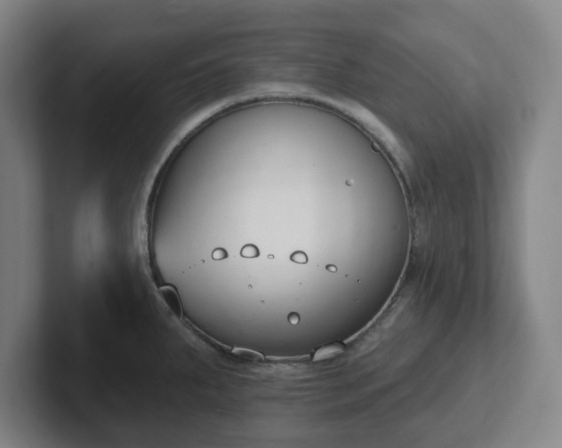 X0000102001287200807251238