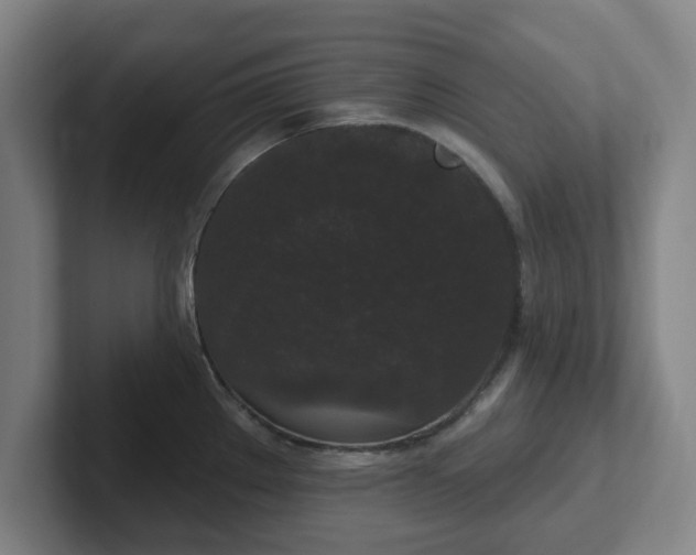 X0000102001289200807251238