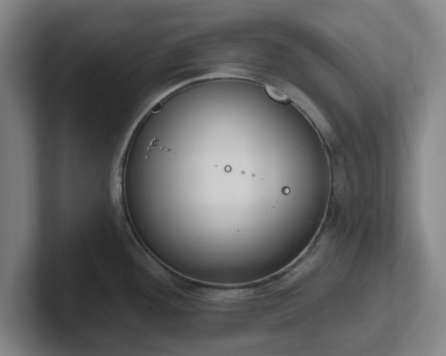 X0000102001292200807251238