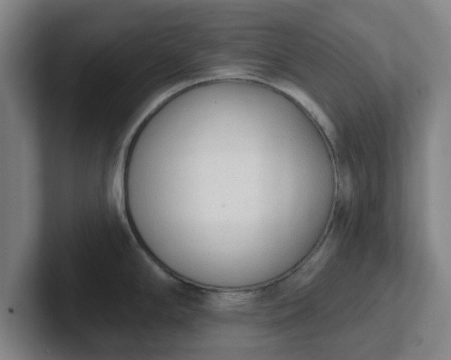 X0000102001294200807251238