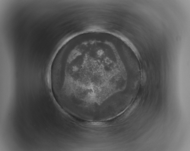 X0000102001295200807251238