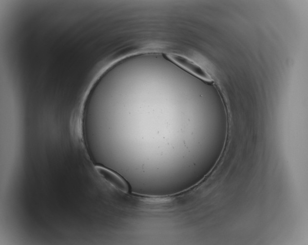 X0000102001296200807251238