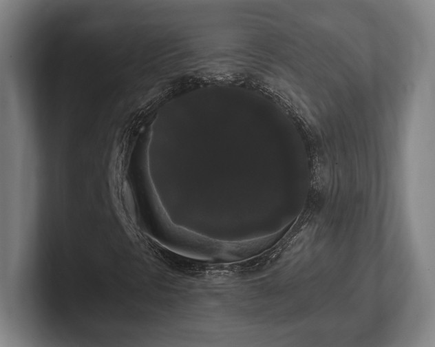 X0000102001297200807251238