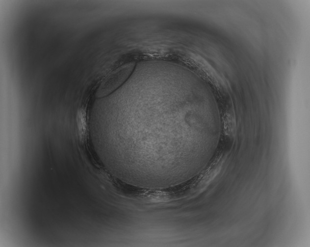 X0000102001298200807251238