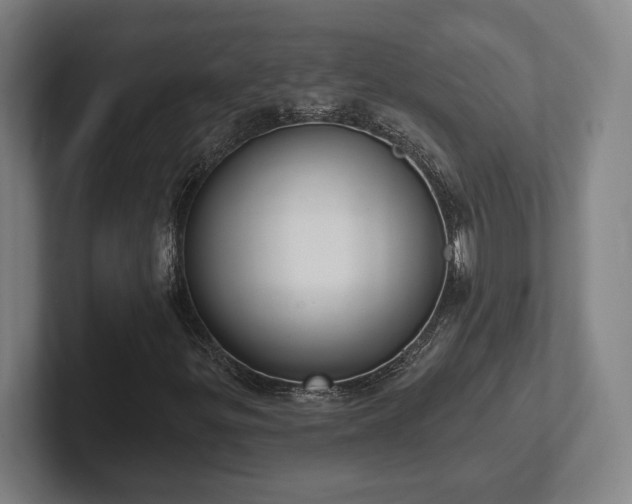 X0000102001299200807251238