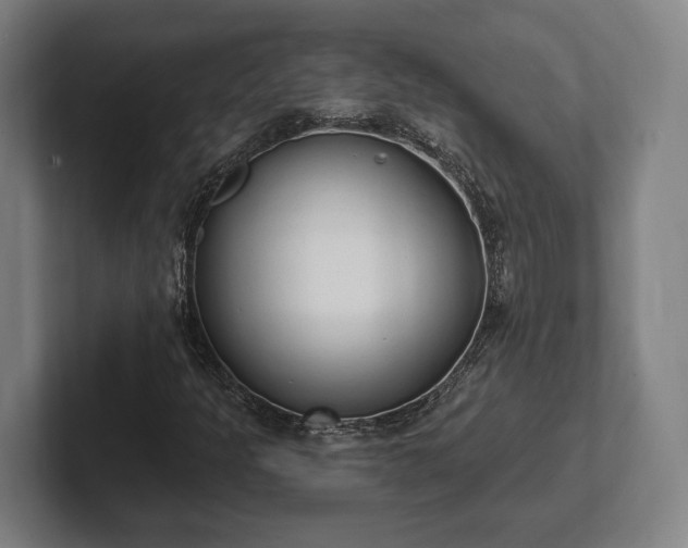 X0000102001301200807251238