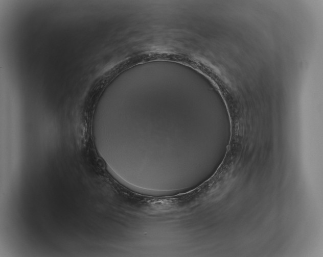 X0000102001303200807251238