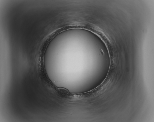 X0000102001304200807251238