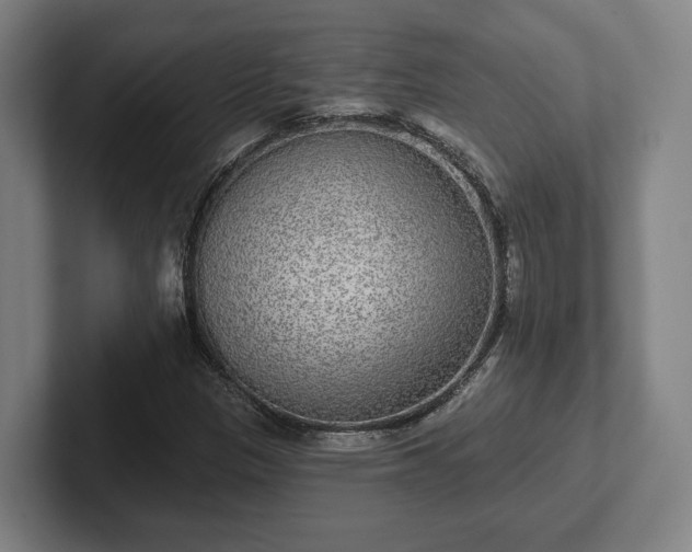 X0000102001305200807251238