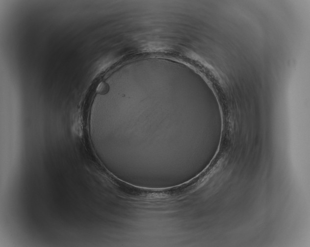 X0000102001306200807251238