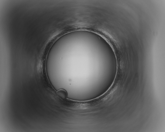 X0000102001309200807251238