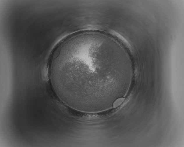 X0000102001310200807251238