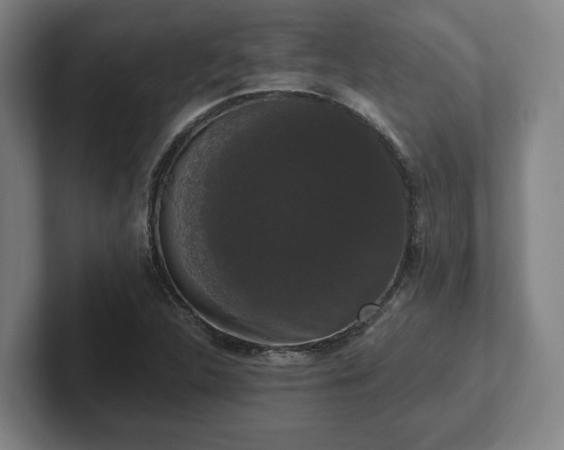 X0000102001312200807251238