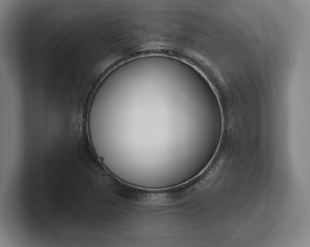 X0000102001313200807251238