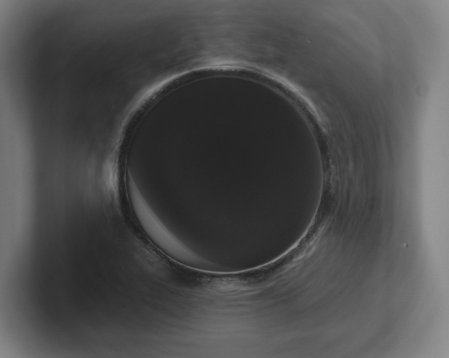 X0000102001319200807251238