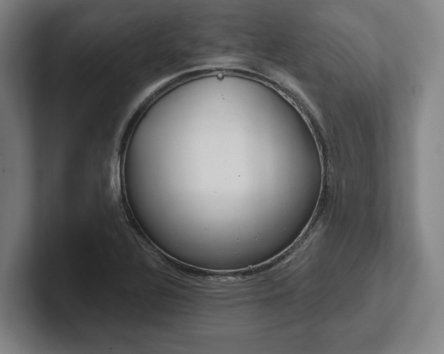 X0000102001320200807251238