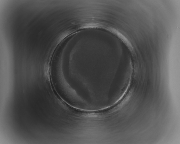 X0000102001329200807251238