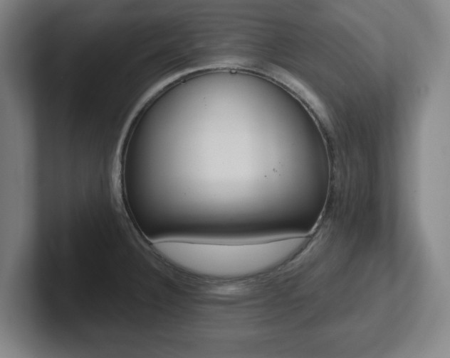 X0000102001332200807251238