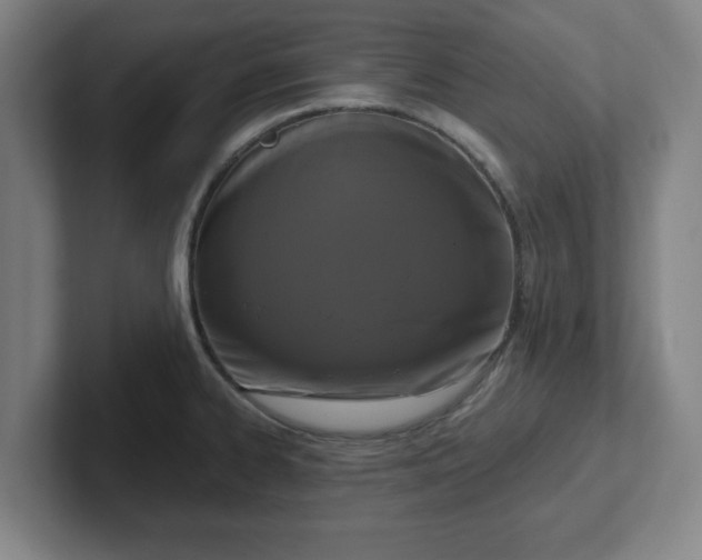 X0000102001334200807251238