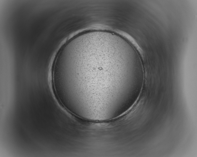 X0000102001335200807251238