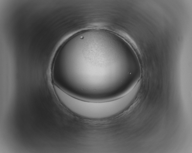 X0000102001336200807251238