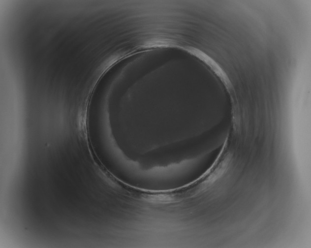 X0000102001337200807251238