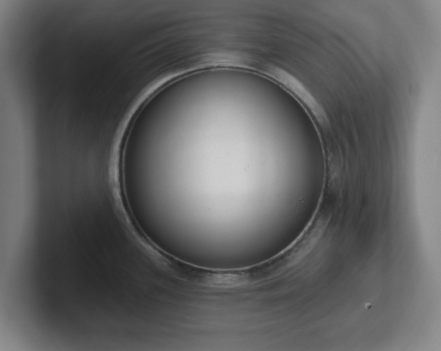 X0000102001339200807251238