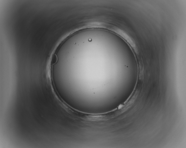 X0000102001342200807251238