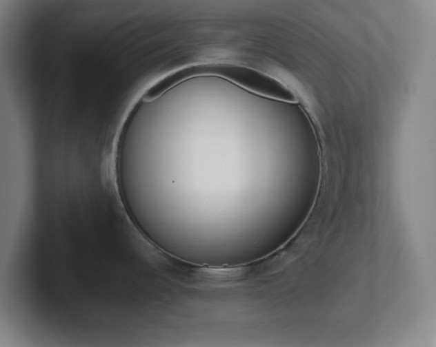 X0000102001344200807251238