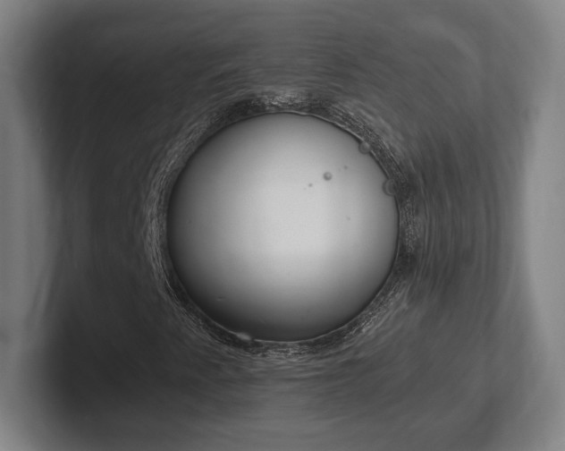 X0000102001345200807251238